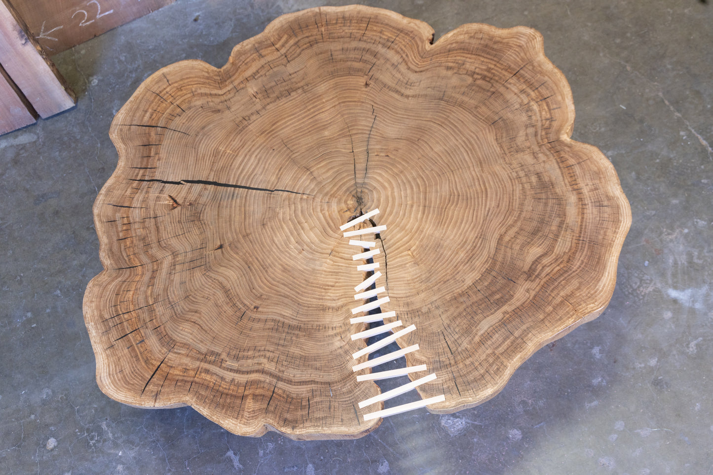 Large Elm "Stitched" Cookie Coffee Table